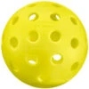 Head Penn 40 Outdoor Pickleballs (100pcs)