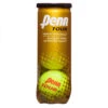 Penn Tour Regular-Duty Felt Tennis Balls (3-Ball Can)