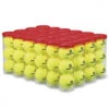 Wilson Team Practice Tennis Ball Case (72 Balls)